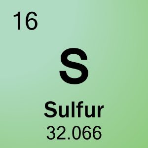 sulfurA6's profile picture. A6. family comes first🙏🏼