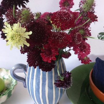 JulieHaythorn's profile picture. Personal Tweets of a Happy horticulturalist who co runs gold medal winning plant nursery Todd's Botanics and Vaso Toscano. follow @ToddsBotanics @vasotoscano