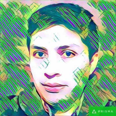 tucuyricuy's profile picture. 