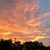 へらちを愛するおじさん🩶💣 (@houkeianal) 's Twitter Profile