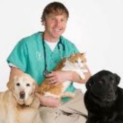 Veterinarian, Pet parent, father, husband, runner/biker/snow boarder, aspiring musician, reader/writer, Online author and Animal Advocate