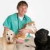 Dr Andrew Jones (@dogandcatdoc) Twitter profile photo Dr Andrew Jones (@dogandcatdoc) Twitter profile photo