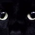 marque wilson (@mwilson339) Twitter profile photo marque wilson (@mwilson339) Twitter profile photo