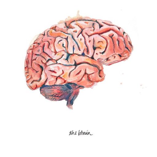 The neuroscience blog ran entirely by students at the University of Leeds.
For enquiries please contact Molly on:
ll13m6c@leeds.ac.uk