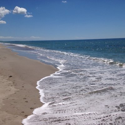 athleticatutor's profile picture. 