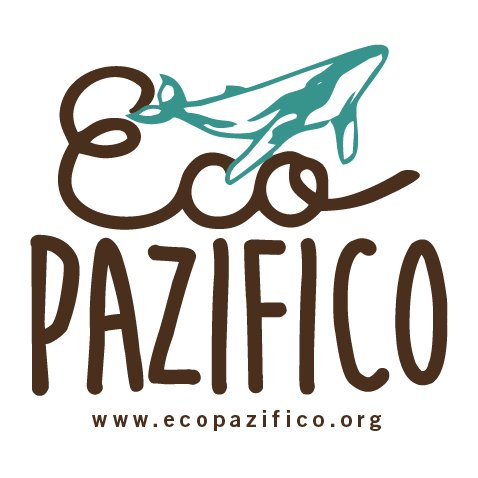 Diseñamos sistemas de reciclaje y programas de permacultura enfocados en arte y limpieza de playas, en comunidades costeras de Colombia.