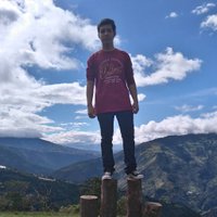 Carlos Avendaño (@carlos_avendani) 's Twitter Profile