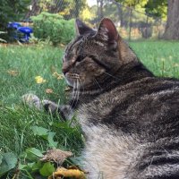 Jason Arvedson (@jason_arvedson) 's Twitter Profile Photo Jason Arvedson (@jason_arvedson) 's Twitter Profile Photo