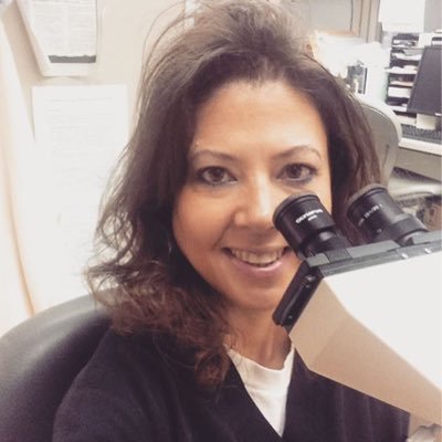 I love cats, walking & to read health/medical blogs. Christian. Cyto/Gross Tech who LOVES pathology. T/RT are mine & not a reflection of my employer.