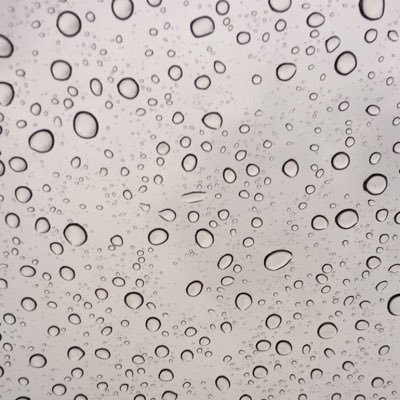 faizfarming's profile picture. بسم الله الرحمن الرحيم - توريد البرسيم إلى جميع مناطق المملكة بجودة عاليه ومواصفات ممتازة وبأقل سعر ممكن اللهم أرزقني وأرزق مني .