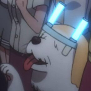 配信のあなた。 I Believe Again. Anime/Sports/Music/Food/Earthquakes. I really am that blurry in person. EiEiOh.
