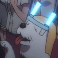 TentonTim|HaishinnoAnata (@tentontim) 's Twitter Profile