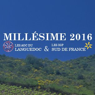 Ils vous racontent leur millésime 2017 en Languedoc Roussillon ! Découvrez les témoignages authentiques de femmes et d'hommes qui font ces vins...