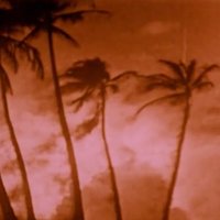 Huw Caddy (@huwjc) 's Twitter Profile