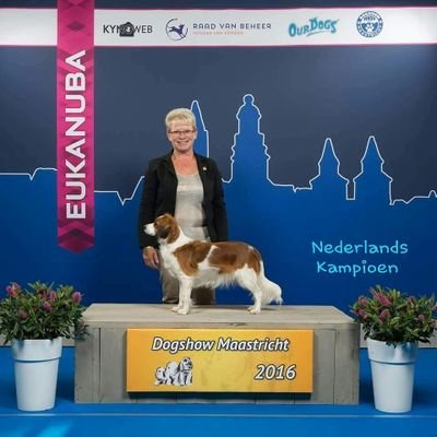 witje_dd's profile picture. 