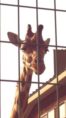 yuriko19890527's profile picture. 👧🏻2016.5👧🏻2021.10.26 🍎
タメ語で気軽に絡んでください😊