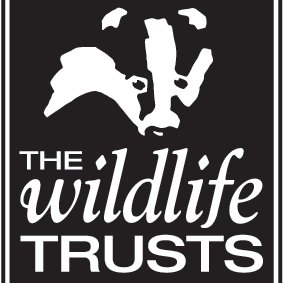 Hampshire & Isle of Wight Wildlife Trust provides diverse opportunities for people to learn, connect with and be inspired by the nature that surrounds us.