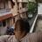 Gren_Z's profile image