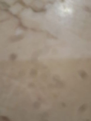‏ر