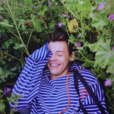 The summertime, and butterflies, all belong to your creation.