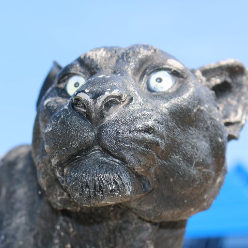 SCCS_Panthers Profile