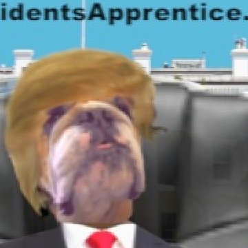 T.D. is a writer, producer and creator of Rascal the Bulldog of the satirical political webcast The Presidents Apprentice. com, Karioke Cab and 60 Seconds +.