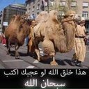 haShem khaled (@0vH4zcFl463AlAq) Twitter