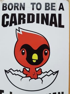 The official Twitter account of the Guidance Department at FJ Brennan HS in Windsor, Ontario, Canada