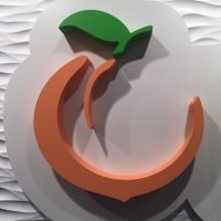 Fuzzy Peach (@fuzzypeachfroyo) 's Twitter Profile