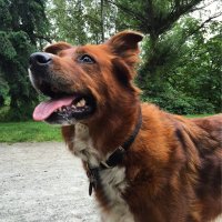 Erniefay 🇨🇦☘️🌊🏳️🌈 🇺🇦 🟧 ☮️ Vet.Resist.BLM (@erniefay) 's Twitter Profile