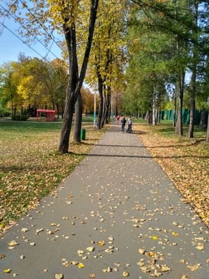 zhilber's profile picture. 