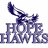 HopeHawks's profile image