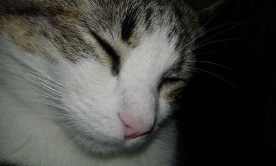 VanesaGM77's profile picture. 