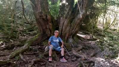 EtayoVictor's profile picture. Desengañado de casi todas promesas, y de los políticos corruptos.
Naturalista y senderista, me encanta perderme en mi soledad, en paisajes perdidos y olvidados.