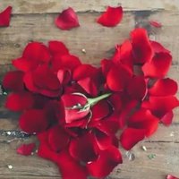احلى ايامي..... (@page12345678990) 's Twitter Profile