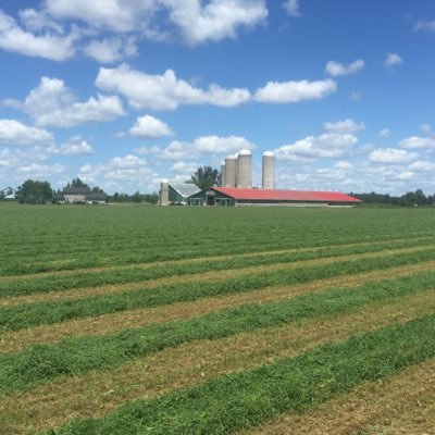 dairy, broiler and cash crop operation in Perth county. OAC 16