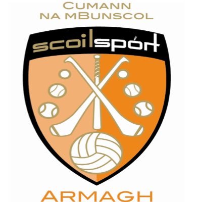 Armagh GAA mBunscol Profile