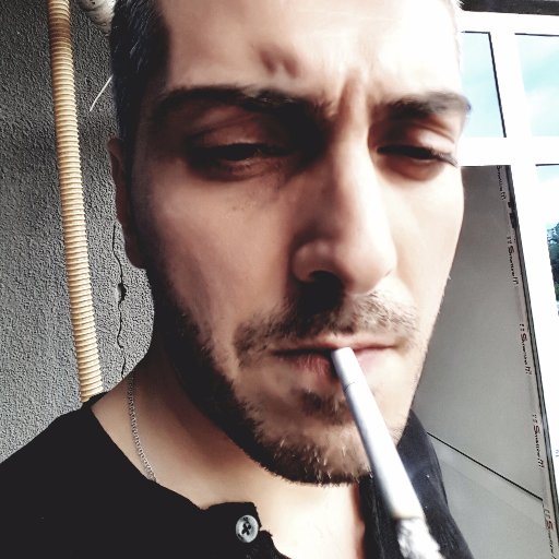 mishamushni's profile picture. 