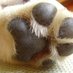 Quiltra (@quiltramary) Twitter profile photo Quiltra (@quiltramary) Twitter profile photo