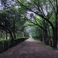 VecinosCoyoacanCH (@coyoacanasocch) 's Twitter Profile