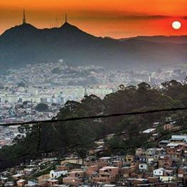 negosoares33's profile picture. 