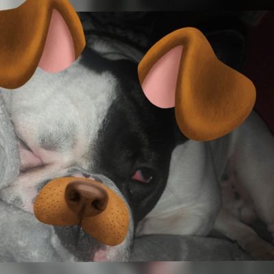 AndreaI53923134's profile picture. Youtuber, estudiante, monger, experta en pasar de todo, dibujante y Potterhead. 
Yo soy vuestra ama perros y perras.  ¡POQUEMON GOU!