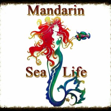 Mandarin SeaLife specializes in Saltwater Fish, exotic Live Coral and Inverts, plus dry goods for the beginner to the expert Hobbyist!