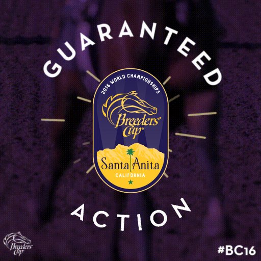 The Bettor's Inside Source for @BreedersCup. #BC17 #BCBC