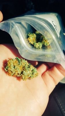 Just giving reviews on strains of weeds. Enjoy at your leisure.