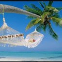 kef gut (@0600591dc91546c) Twitter