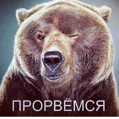 APfV2CZLQyHTrE2's profile picture. 