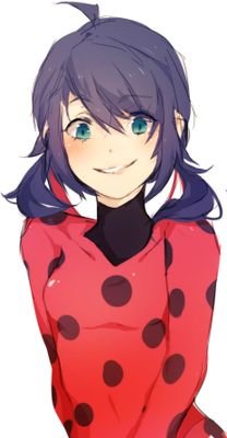 hey everyone it's ladybug here and I keep France save from the black acumas and my partner chat noir is the best follow @cookies_4_Tikki Ladybug out