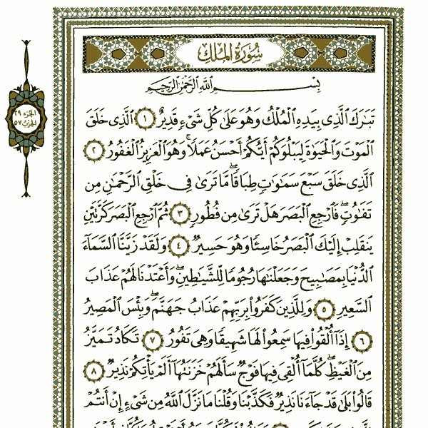 مشلح بن سعيد الرميحي وجدتي (غزيه) رحمهما الله تعالى وجميع اموات المسلمين الذين اتبعوا سنه محمد صلى الله عليه وعلى اله وسلم