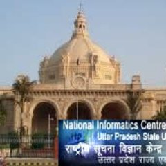 niclucknow's profile picture. 